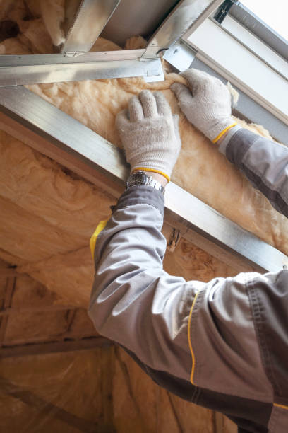 Best Insulation Installation Services in Marine City, MI